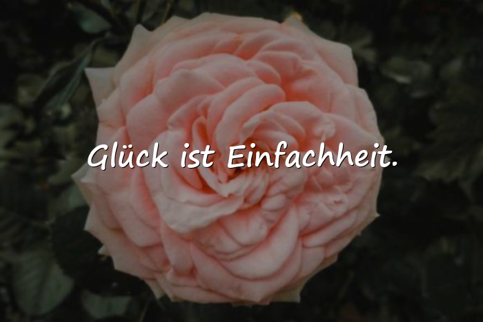 Bilder mit sprüche glücklich - 16