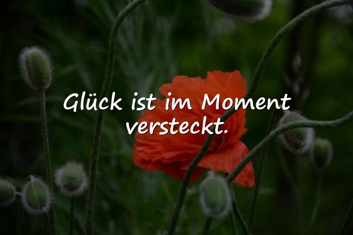 Bilder mit sprüche glücklich - 6