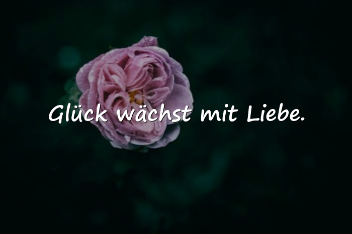 Bilder mit sprüche glücklich - 8