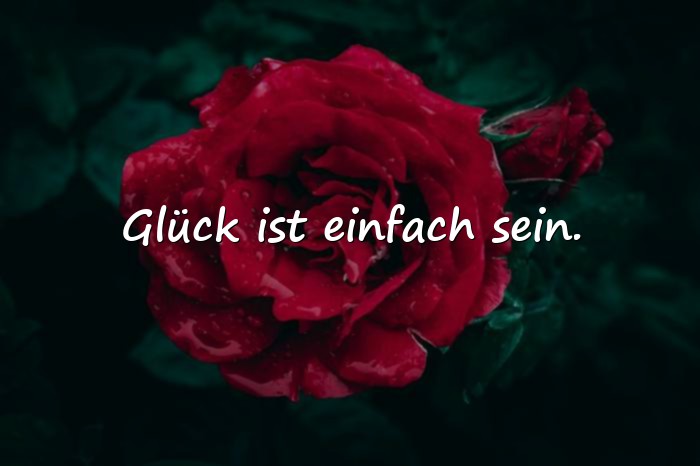 Bilder mit sprüche glücklich - 5