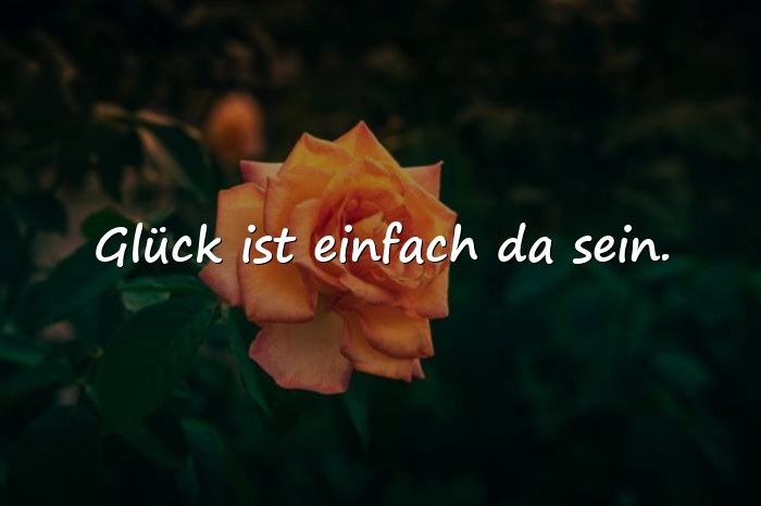 Bilder mit sprüche glücklich - 21