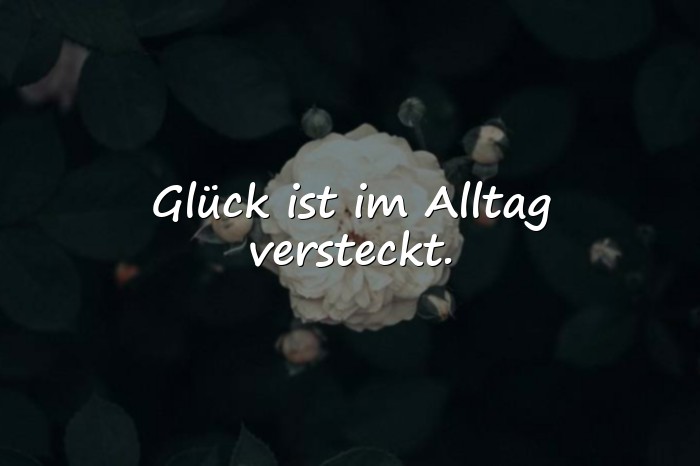 Bilder mit sprüche glücklich - 20