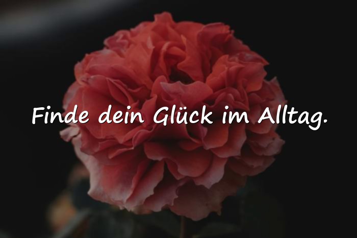 Bilder mit sprüche glücklich sein - 15