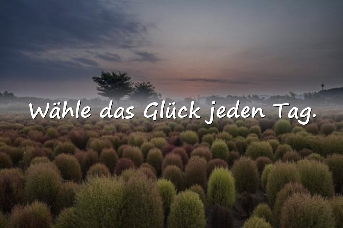 Bilder mit sprüche glücklich sein - 11