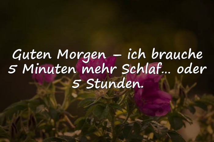 Bilder mit sprüche guten morgen lustig - 11