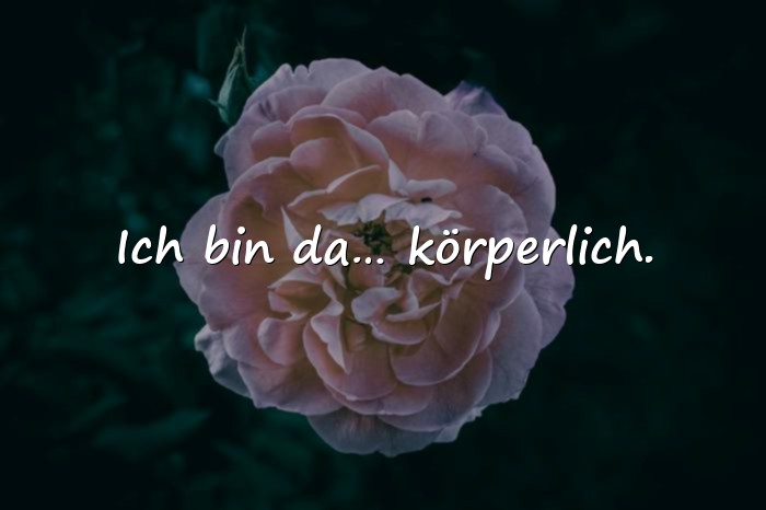 Bilder mit sprüche guten morgen lustig - 6
