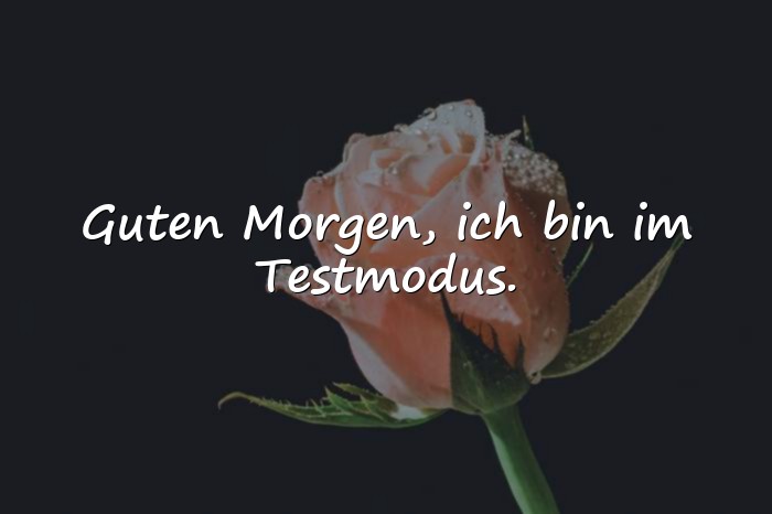 Bilder mit sprüche guten morgen lustig - 1
