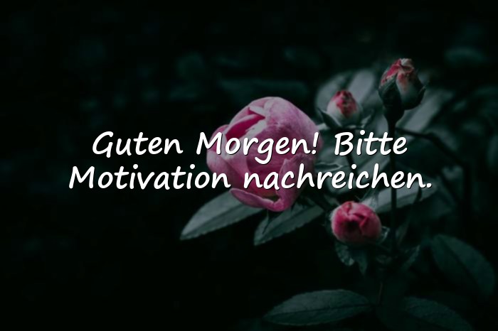 Bilder mit sprüche guten morgen lustig - 6