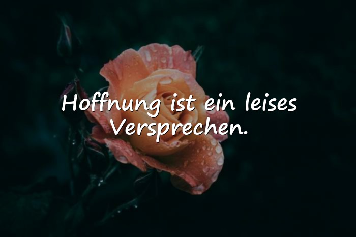 Bilder mit sprüche hoffnung - 18