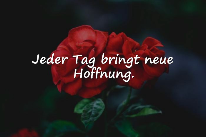 Bilder mit sprüche hoffnung - 13