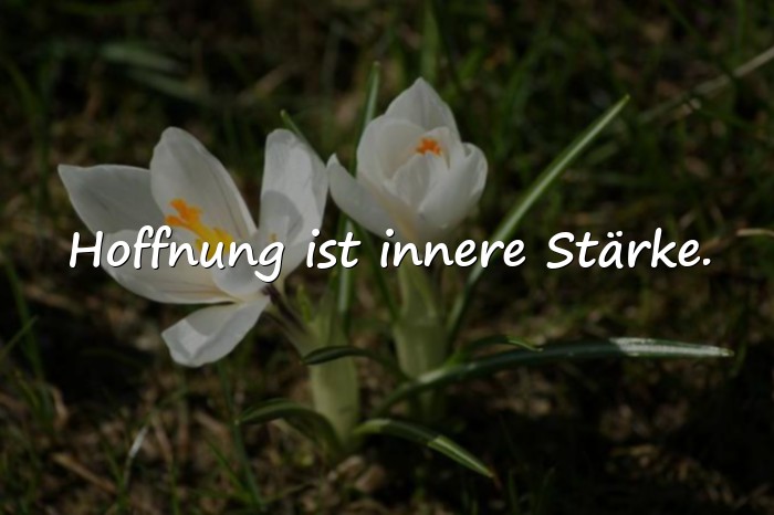 Bilder mit sprüche hoffnung - 8