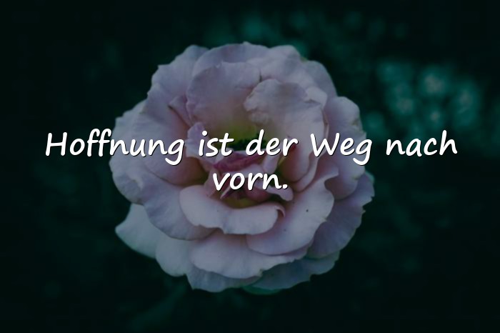 Bilder mit sprüche hoffnung - 19