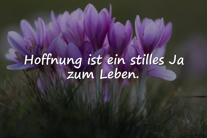 Bilder mit sprüche hoffnung - 5