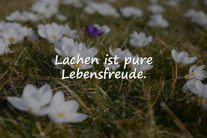 Bilder mit sprüche lachen - 20