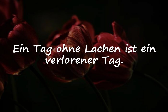 Bilder mit sprüche lachen - 15