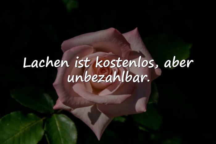 Bilder mit sprüche lachen - 10