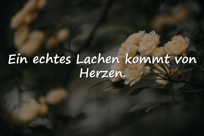 Bilder mit sprüche lachen - 5