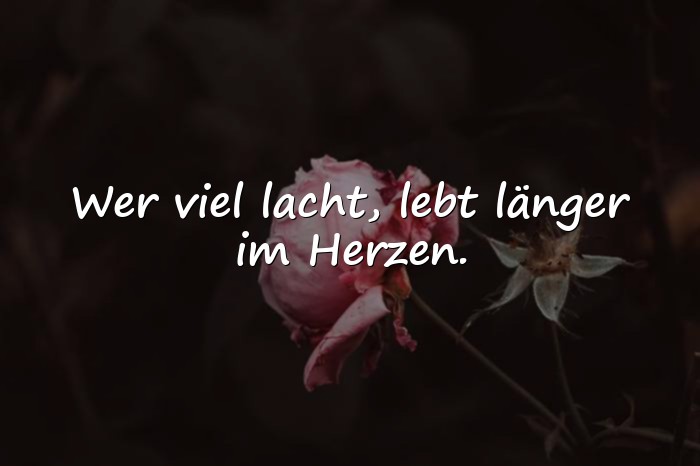 Bilder mit sprüche lachen - 21