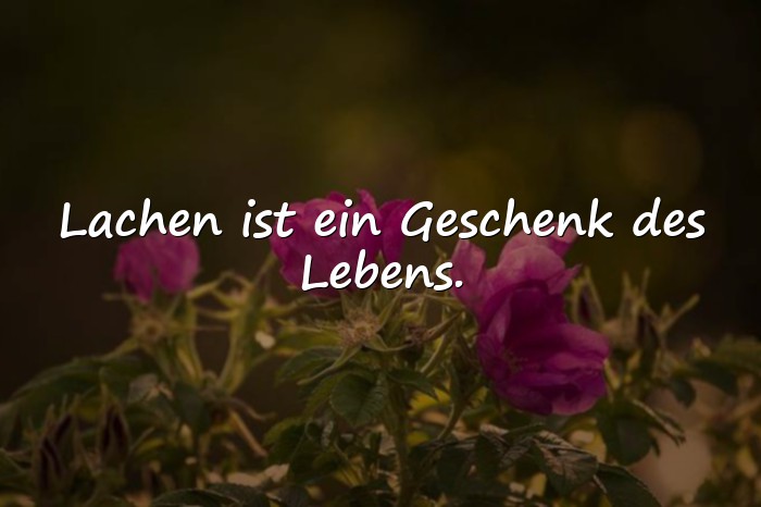 Bilder mit sprüche lachen - 16