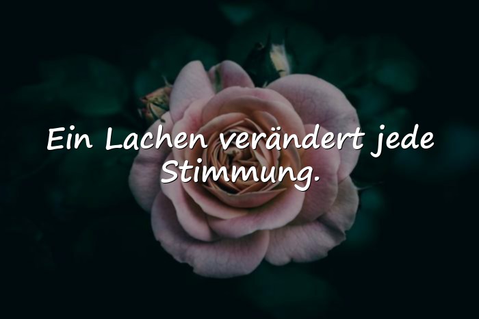 Bilder mit sprüche lachen - 11