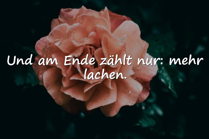 Bilder mit sprüche lachen - 1