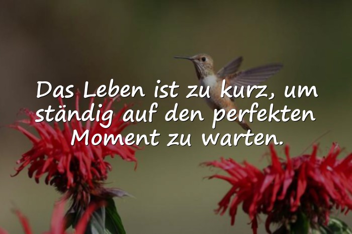 Bilder mit sprüche leben - 16
