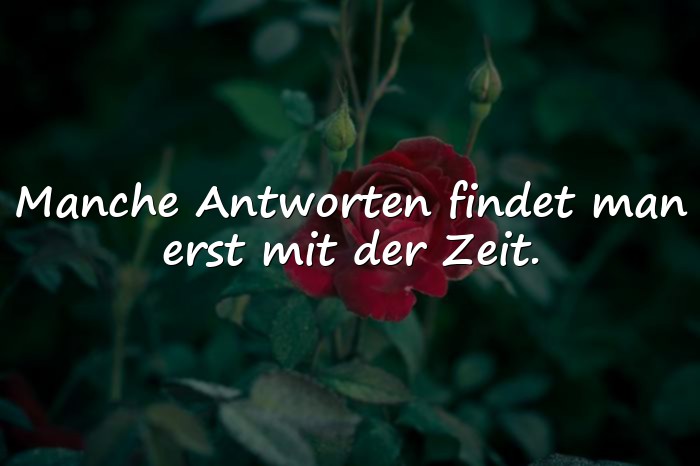 Bilder mit sprüche leben - 6