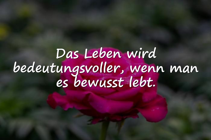 Bilder mit sprüche leben - 1