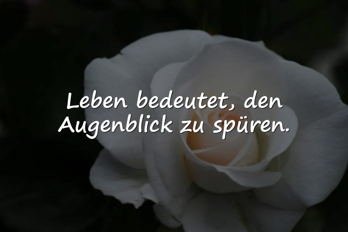 Bilder mit sprüche leben genießen - 12