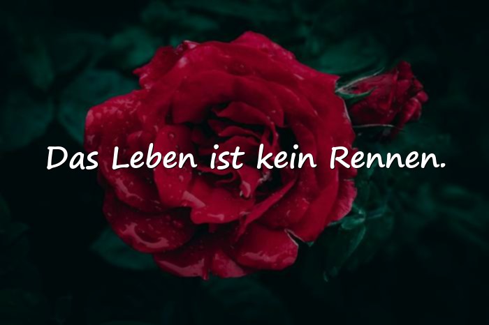 Bilder mit sprüche leben genießen - 7