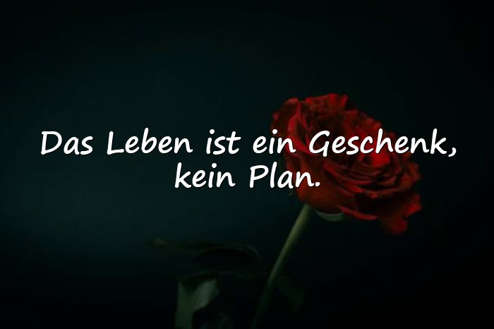 Bilder mit sprüche leben genießen - 25