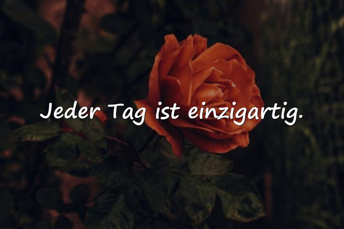 Bilder mit sprüche leben genießen - 21
