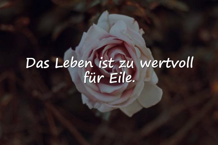 Bilder mit sprüche leben genießen - 17