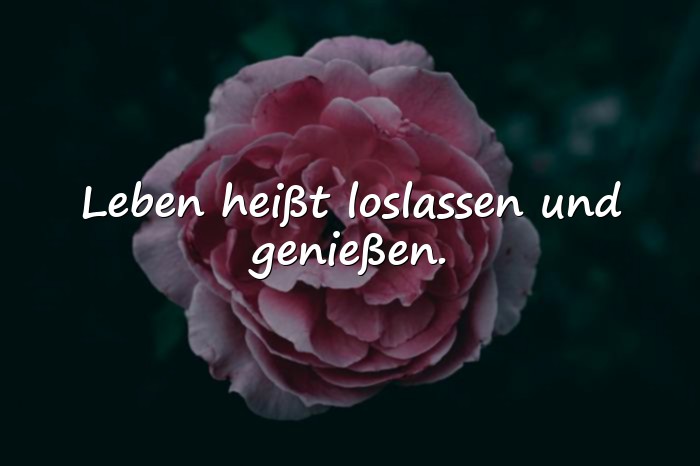 Bilder mit sprüche leben genießen - 6