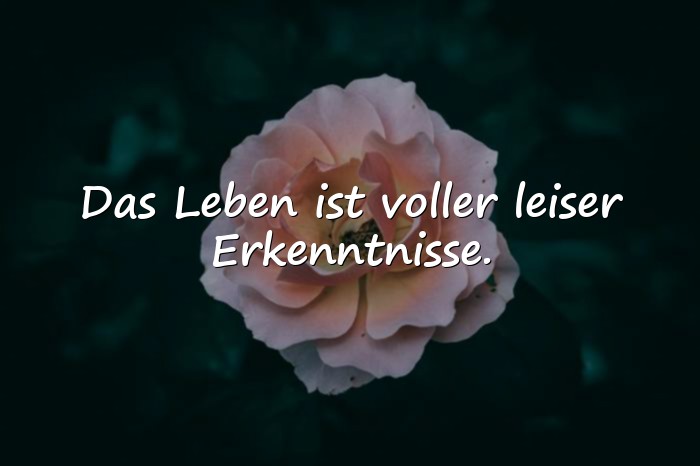 Bilder mit sprüche leben nachdenken - 5