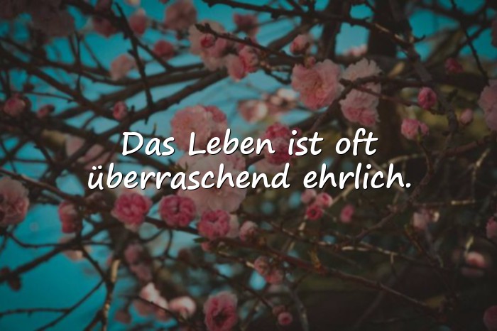 Bilder mit sprüche leben nachdenken - 20