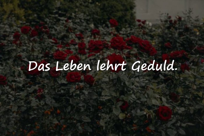 Bilder mit sprüche leben nachdenken - 10