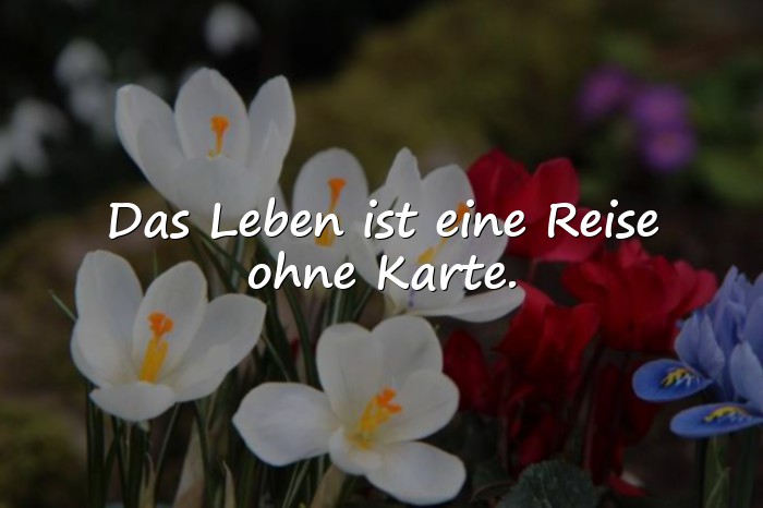 Bilder mit sprüche leben nachdenken - 4
