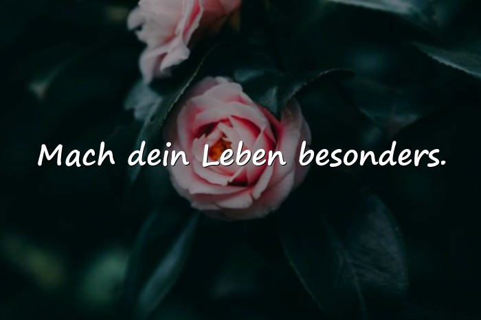 Bilder mit sprüche lebensmotto - 23