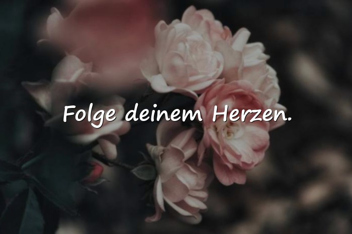 Bilder mit sprüche lebensmotto - 18