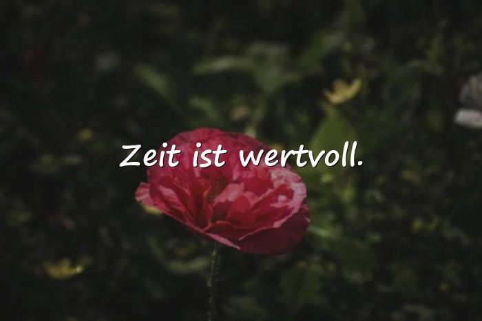 Bilder mit sprüche lebensmotto - 15