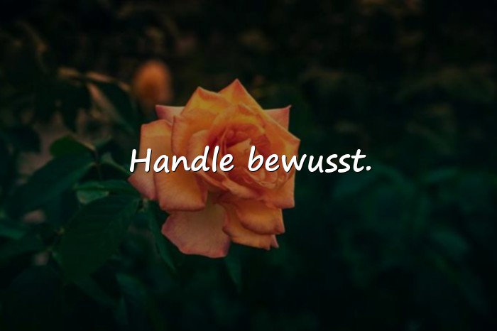 Bilder mit sprüche lebensmotto - 11
