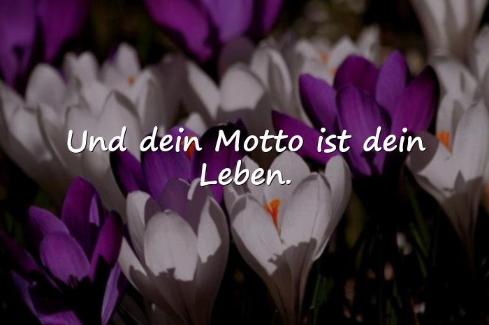 Bilder mit sprüche lebensmotto - 1