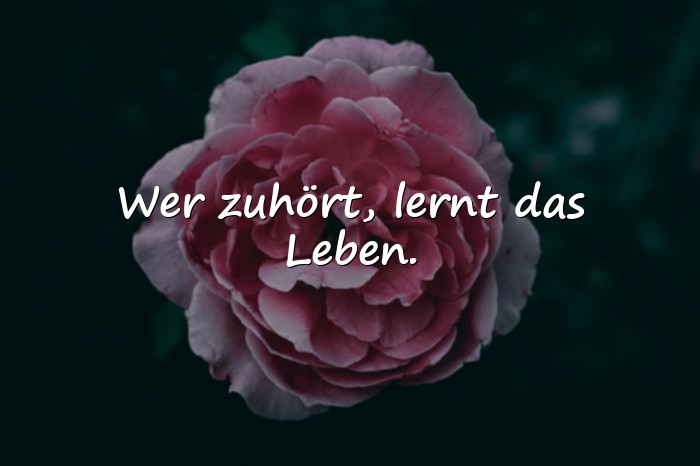 Bilder mit sprüche lebensweisheiten - 15