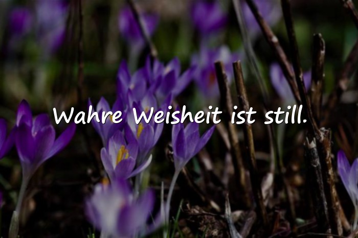 Bilder mit sprüche lebensweisheiten - 10
