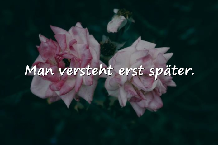 Bilder mit sprüche lebensweisheiten - 2