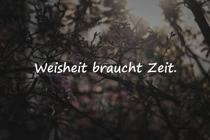 Bilder mit sprüche lebensweisheiten - 23