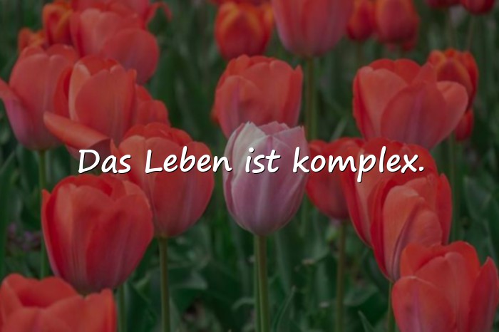 Bilder mit sprüche lebensweisheiten - 18