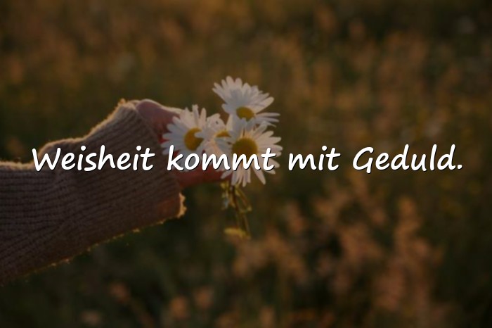 Bilder mit sprüche lebensweisheiten - 13