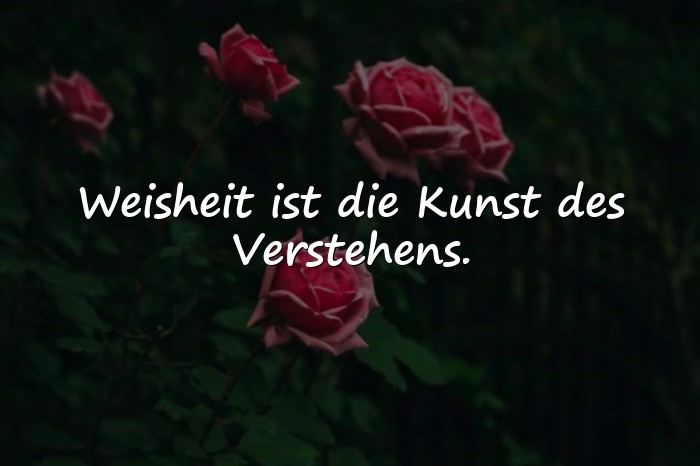 Bilder mit sprüche lebensweisheiten - 5
